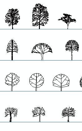 Side View Set Of Graphics Trees Elements Outline Symbol For Architecture  And Landscape Design Drawing Vector Illustration Stock Illustration -  Download Image Now - iStock