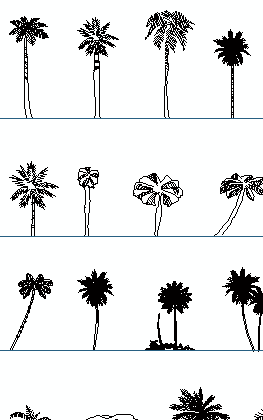 palms elevation cad blocks