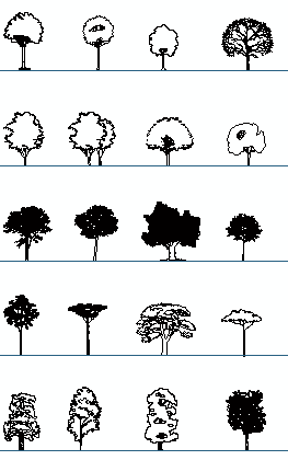 trees elevation cad blocks